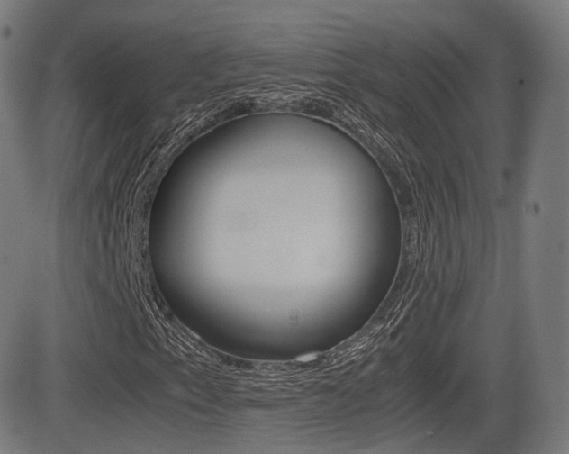 X0000081291153200701110901