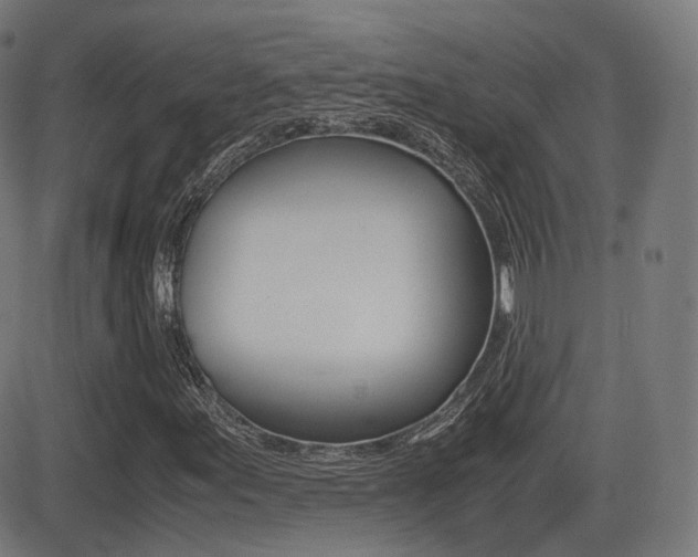 X0000081291155200701110901