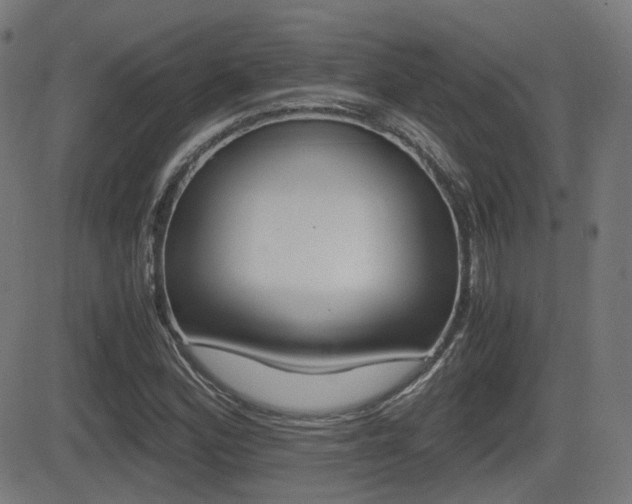 X0000081291164200701110901