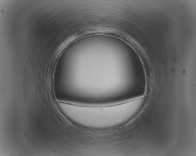 X0000081291177200701110901