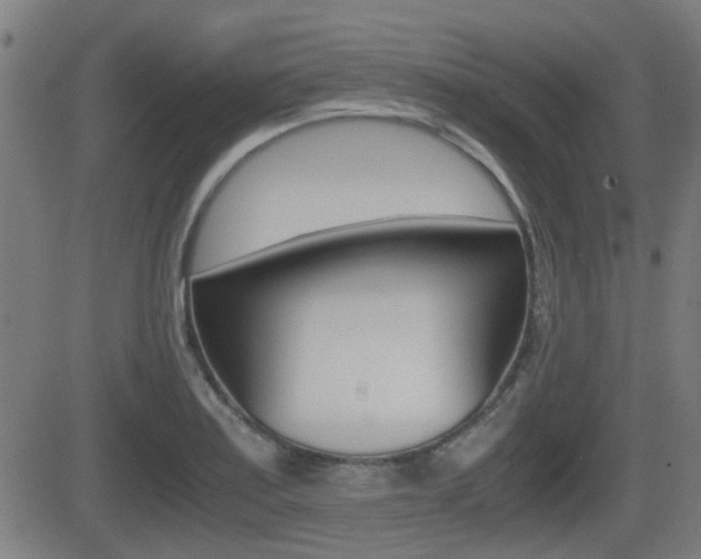 X0000081291179200701110901