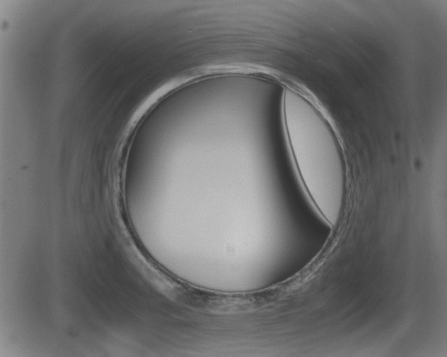X0000081291187200701110901