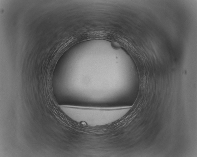 X0000081291201200701110900