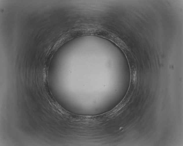 X0000081291204200701110900