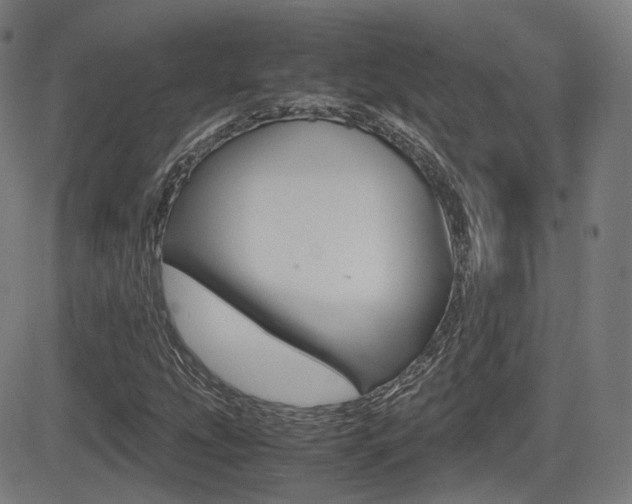 X0000081291207200701110900