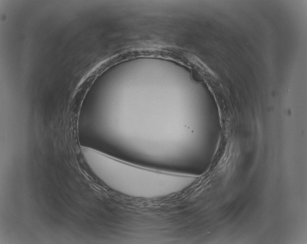 X0000081291208200701110900