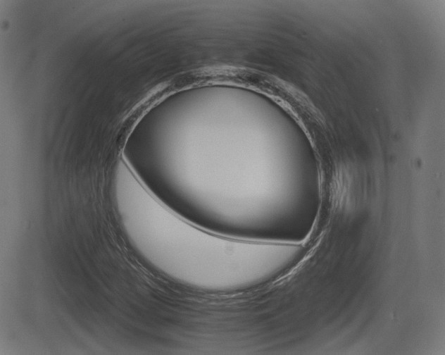 X0000081291209200701110900