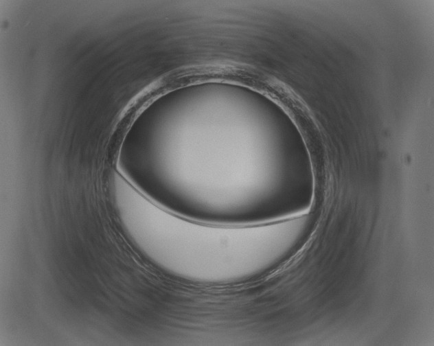 X0000081291210200701110900