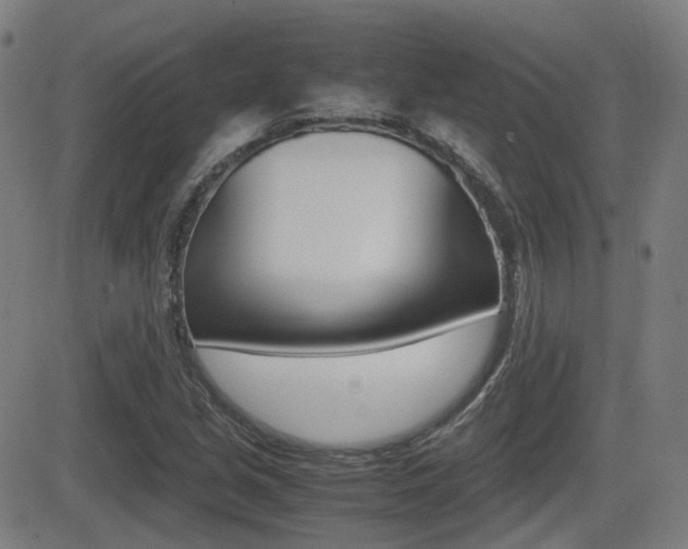 X0000081291213200701110900