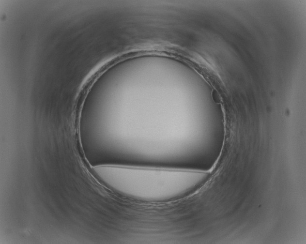 X0000081291216200701110900