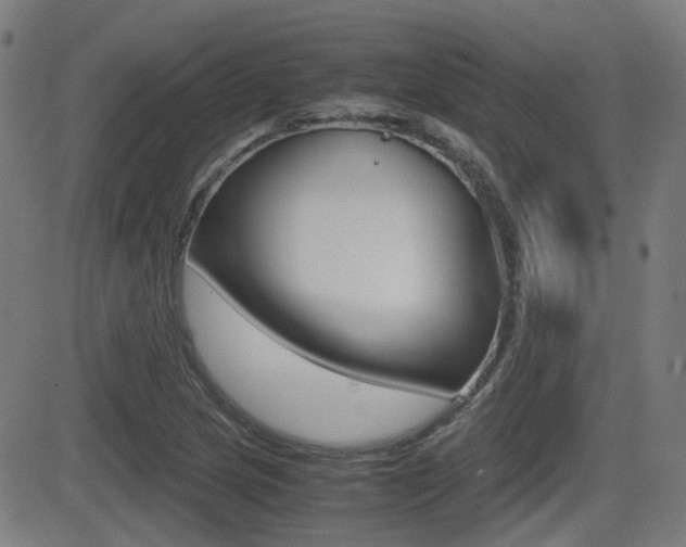 X0000081291217200701110900