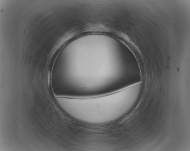 X0000081291221200701110900