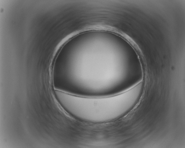 X0000081291238200701110900