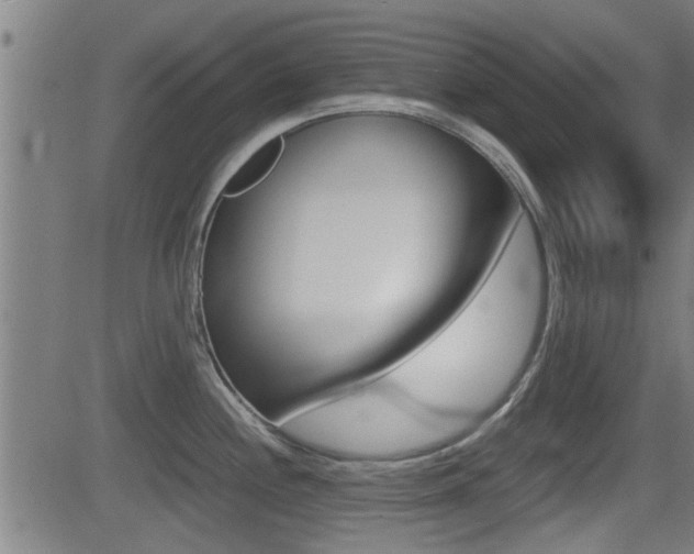 X0000081291244200701110901