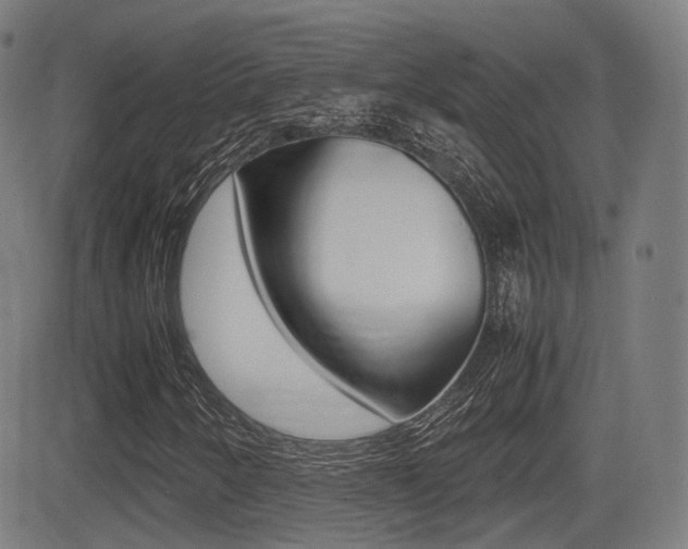 X0000081291250200701110900