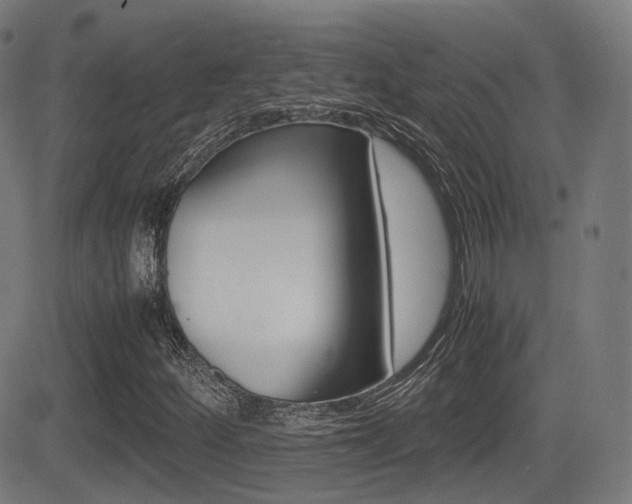 X0000081291252200701110900