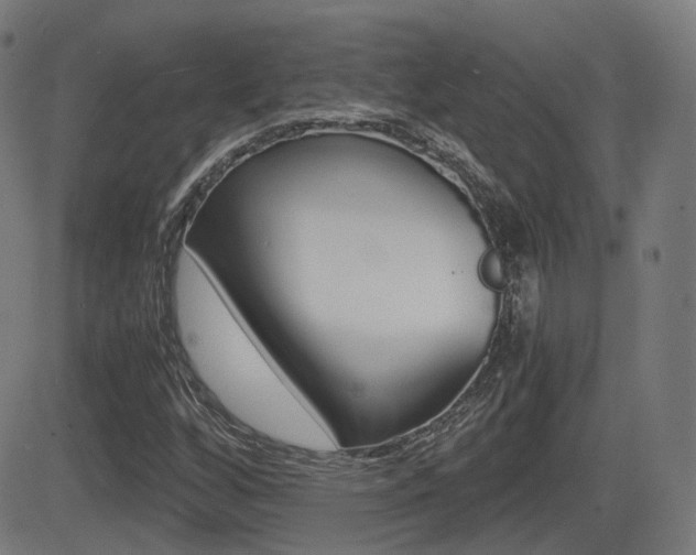X0000081291256200701110900