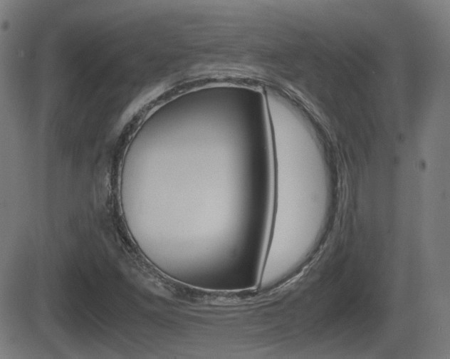 X0000081291261200701110900