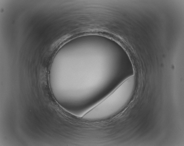X0000081291265200701110900