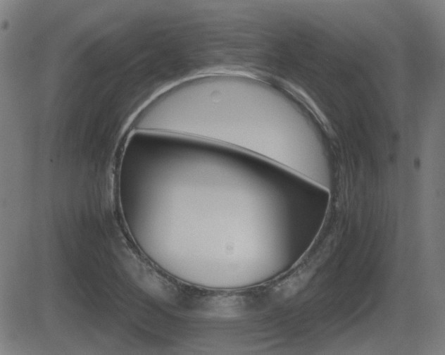 X0000081291268200701110859