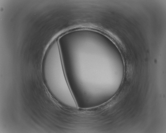 X0000081291272200701110859