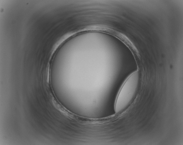 X0000081291276200701110859