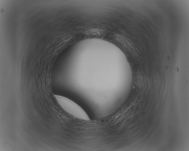 X0000081291297200701110858