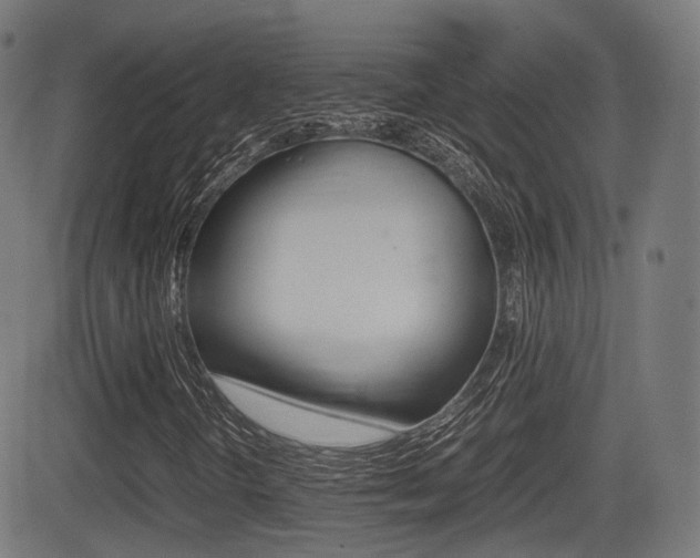 X0000081291298200701110858