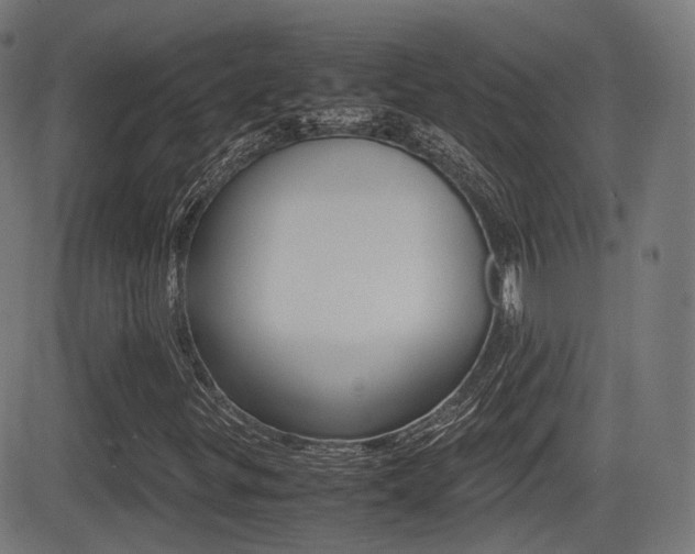 X0000081291299200701110858