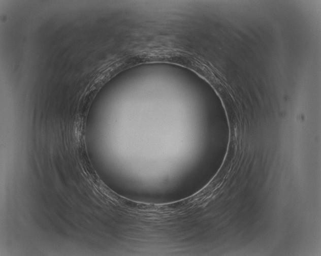 X0000081291300200701110858
