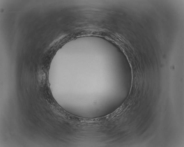 X0000081291302200701110858