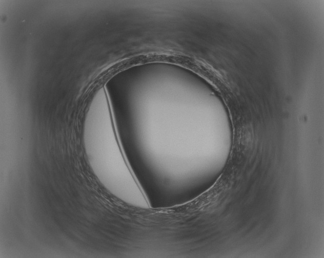 X0000081291303200701110858