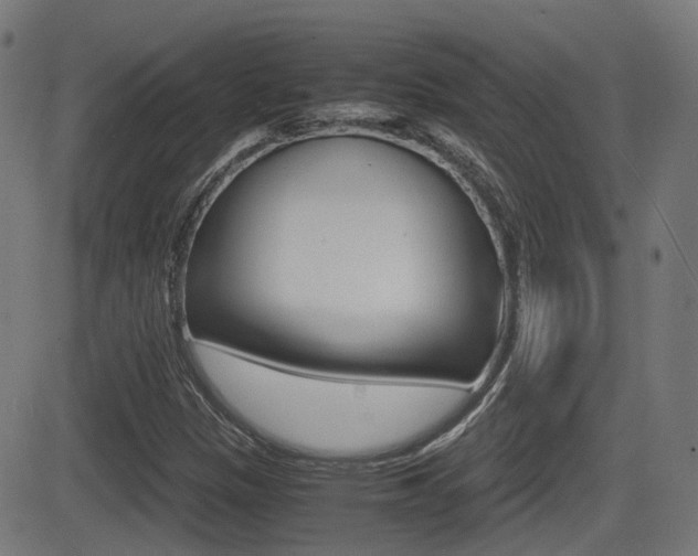 X0000081291305200701110858