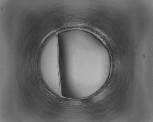 X0000081291306200701110858