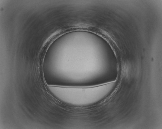 X0000081291307200701110858
