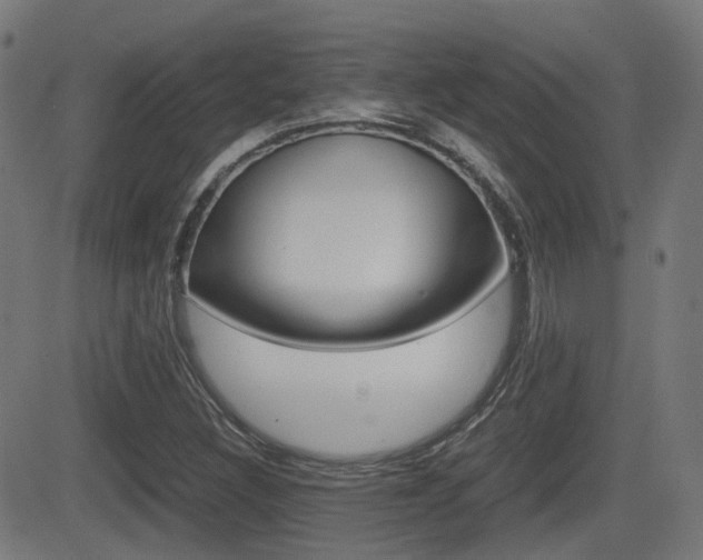 X0000081291308200701110858