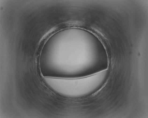 X0000081291309200701110858
