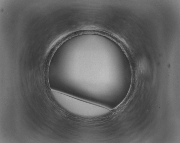 X0000081291311200701110858
