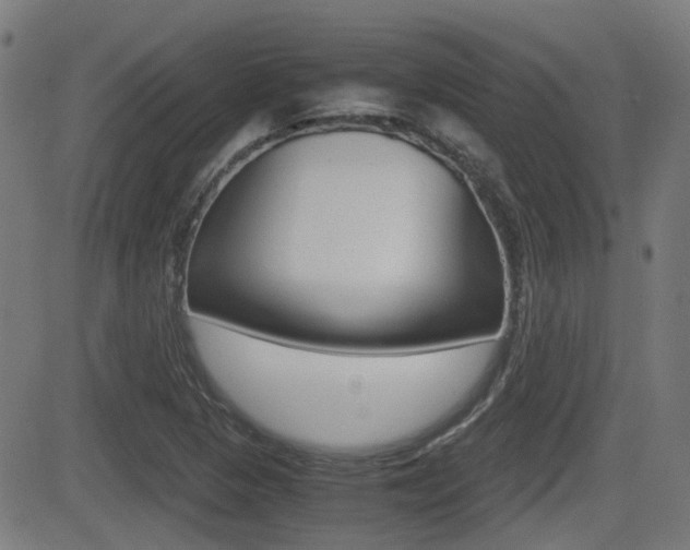 X0000081291313200701110858