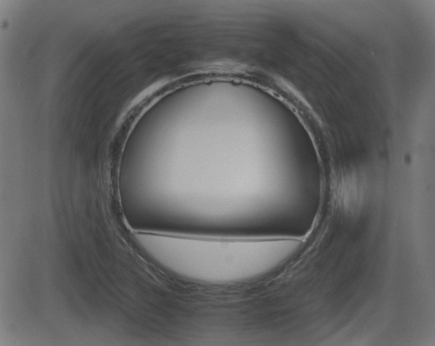 X0000081291315200701110859