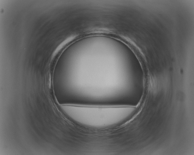 X0000081291317200701110859
