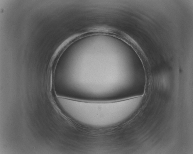 X0000081291323200701110859