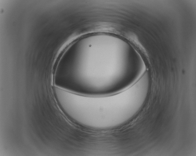 X0000081291324200701110859