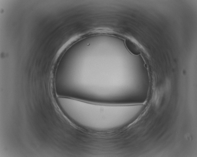 X0000081291325200701110859