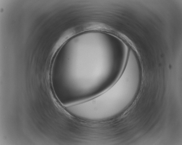X0000081291330200701110859