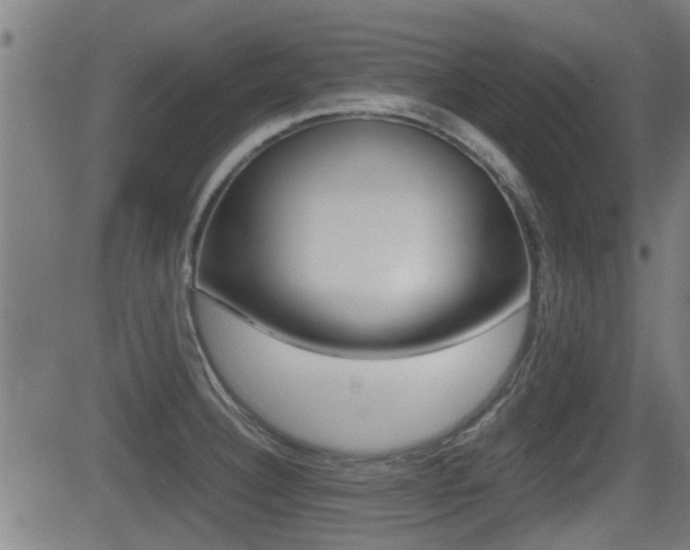 X0000081291332200701110859