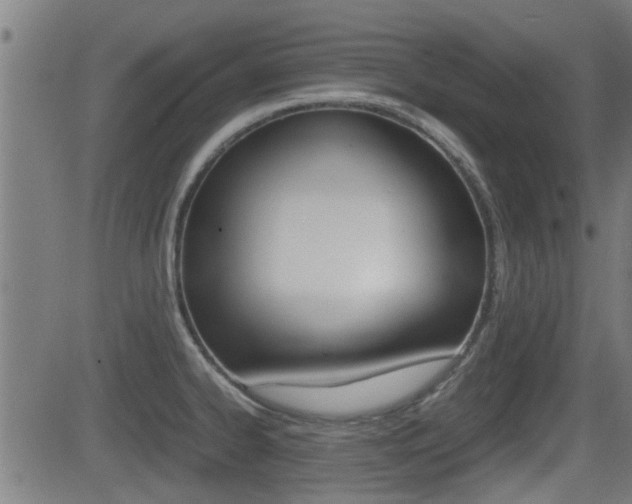 X0000081291334200701110859