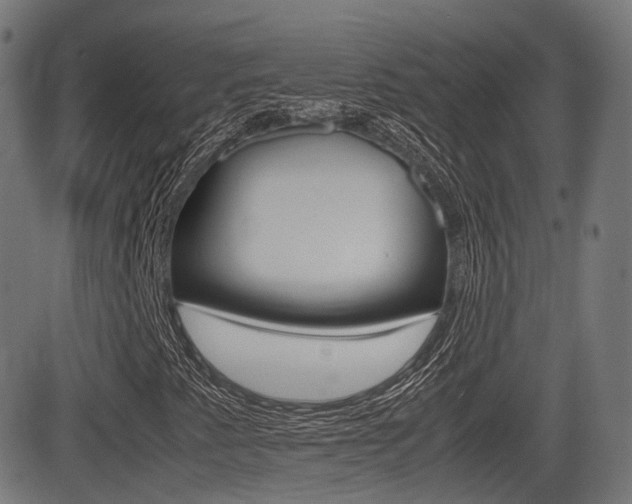 X0000081291345200701110858