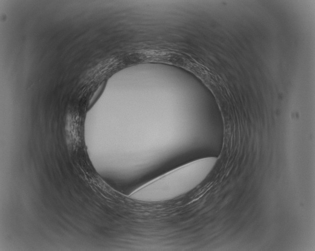 X0000081291346200701110858