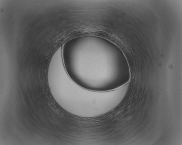 X0000081291348200701110858